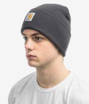 Carhartt WIP Acrylic Watch Beanie (zeus)