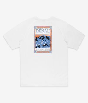 The North Face North Faces T-Shirty (white II)