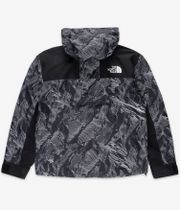 The North Face Dryvent Mono Mountain Jacket (tnf black 3D summit)