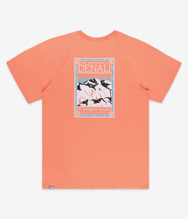The North Face North Faces T-Shirt (dusty coral orange)