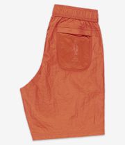 Fucking Awesome Water Acceptable Shorts (orange)