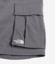 The North Face Anticline Cargo Shorts (smo)