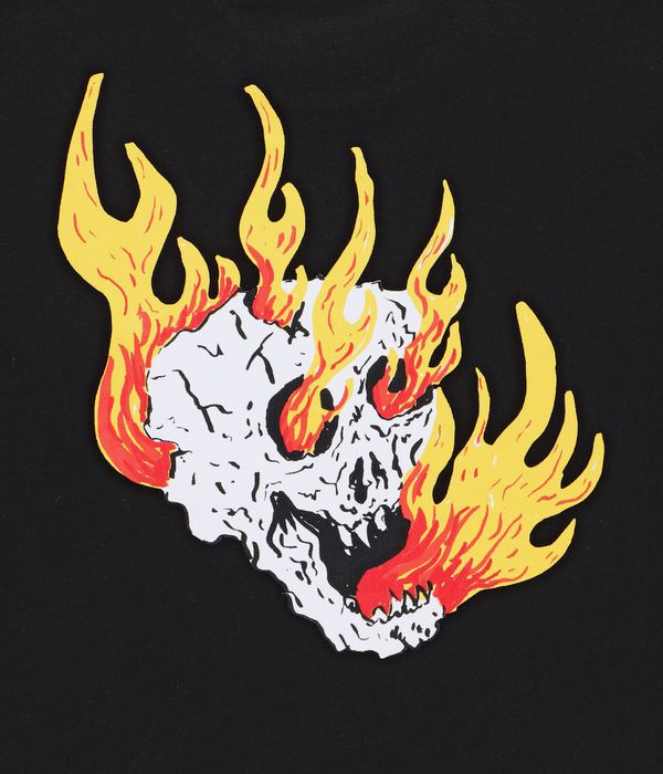 Vans Rowan Zorilla Skull T-Shirty (black)