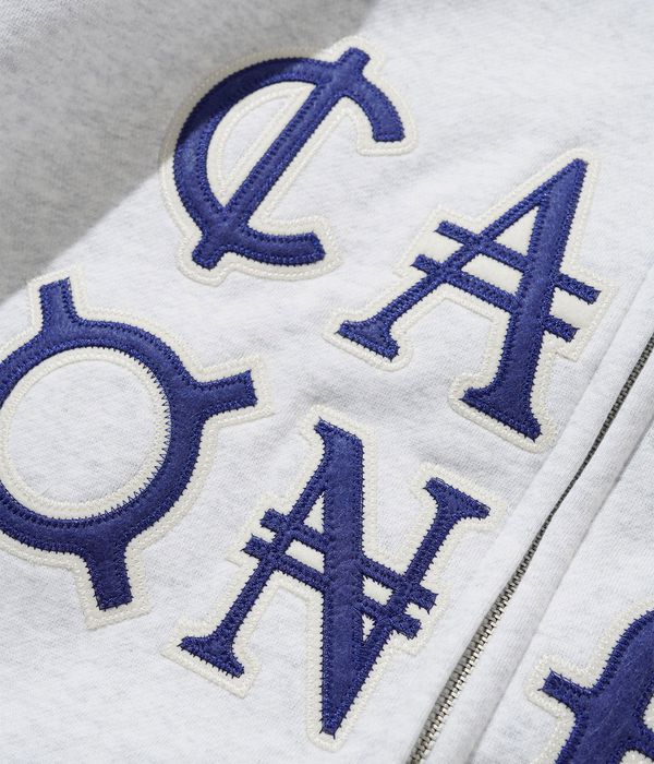 Cash Only Currency Zip-Hoodie (ash)