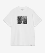 Carhartt WIP Avenue Organic T-Shirt (white)