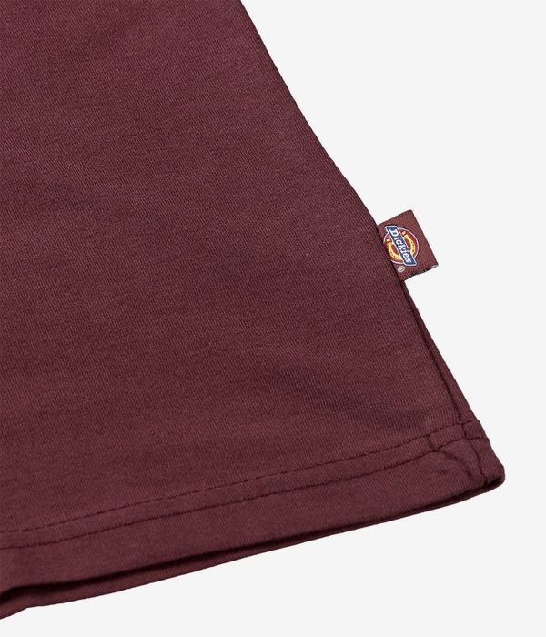 Dickies Mapleton T-Shirty (andorra)