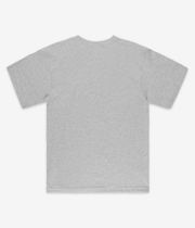 Anti Hero Antihero Sucks T-Shirt (heather grey)