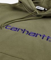 Carhartt WIP Basic sweat à capuche (capulet aura)