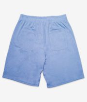 Carpet Company Basketball Shorts (white blue)