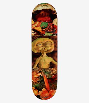 Baker Casper Block Busters 8.25" Planche de skateboard (multi)