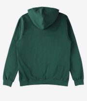 Iriedaily Mini Flag 2 Zip-Hoodie (bottle green)
