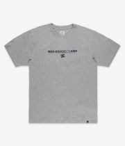 DC x Ben G Amsterdam T-Shirt (grey)