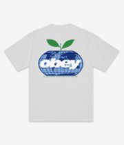 Obey Intercontinental T-Shirt (white)