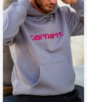 Carhartt WIP Basic Felpa Hoodie (yosemite disco)
