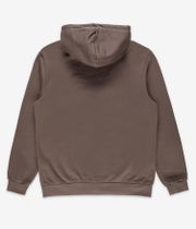 Iriedaily Mini Flag 2 Zip-Sweatshirt avec capuchon (mocca)
