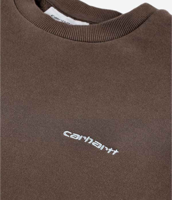 Carhartt WIP Script Embroidery Sweatshirt (liberica air sky)