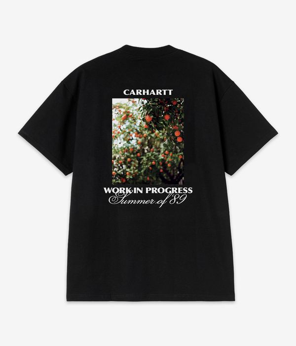 Carhartt WIP Warm Views Organic T-Shirt (black)