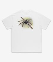 Polar Green Spider T-Shirt (white)