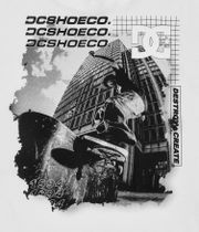 DC Whereabouts T-Shirt (white)