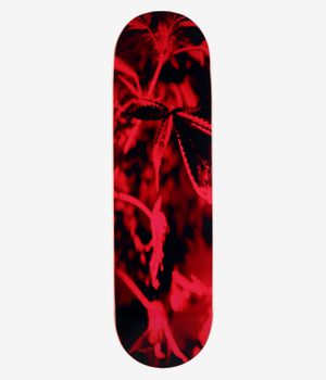 Poetic Collective Coloured Cannabis Series 1 8.75" Skateboard Deck (red)