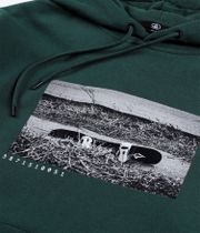 Volcom Essential Snow Sudadera (black green)