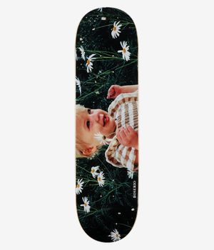 Polar Boserio Cleo & Daisy Short 8.5" Deska do deskorolki (multi)