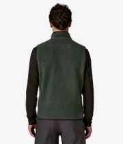Patagonia Retro Pile Kamizelki (old growth green)