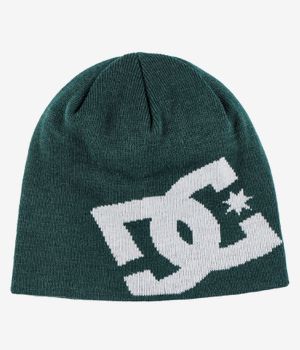 DC Big Star 2 Beanie (ponderosa pine)