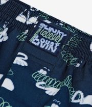 Lousy Livin Slinky Gang Boxershorts (poseidon)