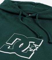 DC Hampden Hoodie (ponderosa pine)