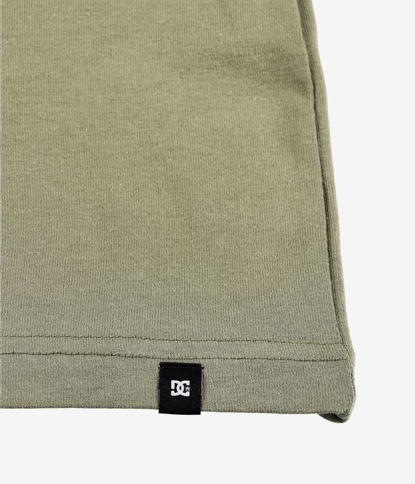 DC Star HSS T-Shirt (deep lichen green)