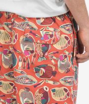Patagonia Baggies 5" Shorts (wrasse pollinator orange)