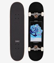 skatedeluxe Rose 8" Complete-Skateboard (black)