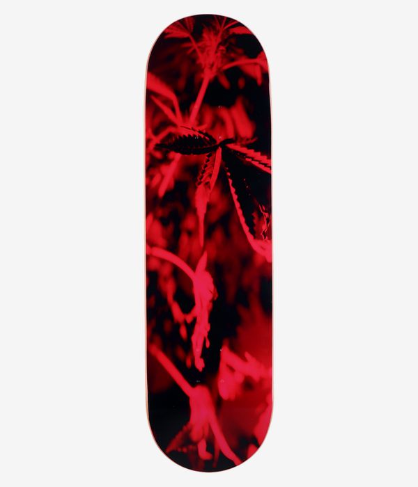 Poetic Collective Coloured Cannabis Series 1 8.75" Skateboard Deck — full bottom view showing vivid red photographic cannabis leaves and stems on a deep black background; clean studio image; white background.