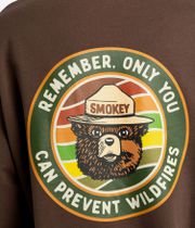 Element x Smokey Bear Prevent Hoodie (bracken)