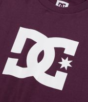 DC Star HSS T-Shirt (fig)