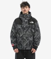 The North Face Dryvent Mono Mountain Jacket (tnf black 3D summit)