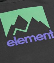 Element Joint Hoodie kids (off black 263)