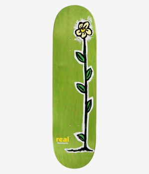 Real Regrowth 8.5" Planche de skateboard (multi)