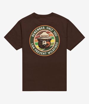Element x Smokey Bear Prevent Camiseta (bracken)