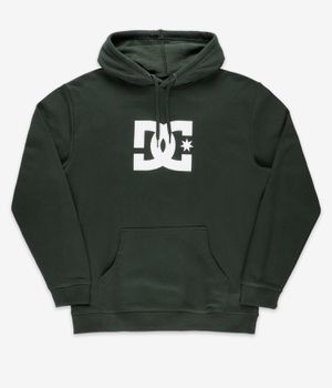 DC Star Hoodie (mountain view)