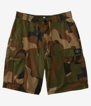 DC Tundra Cargo Shorts (abstract camo)