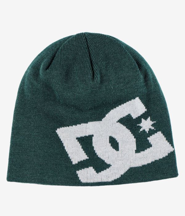 DC Big Star 2 Beanie (ponderosa pine)