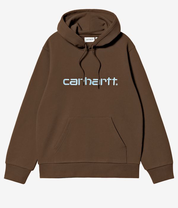 Carhartt WIP Basic Hoodie (liberica air sky)