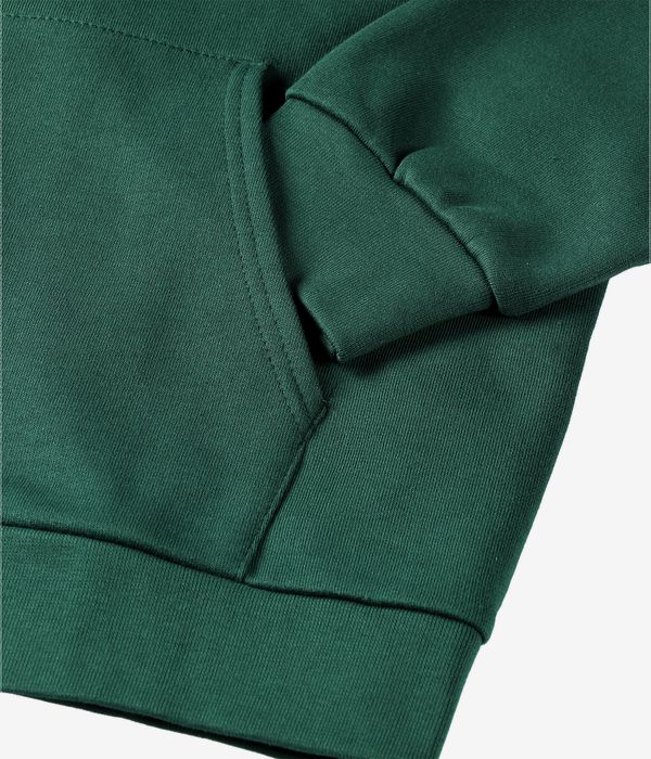 Iriedaily Mini Flag 2 Zip-Hoodie (bottle green)