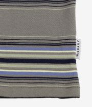 Iriedaily Rayas T-Shirt (smokey olive)
