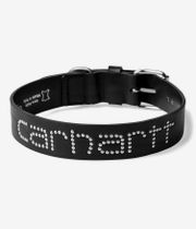 Carhartt WIP Script Studs Dog Collar Leather M/L Acc. (black)