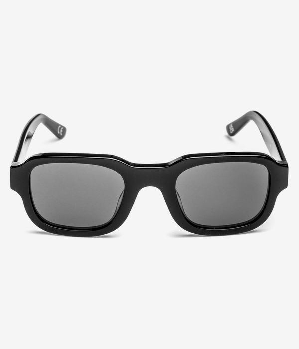 Vans 66 Sonnenbrille (black)