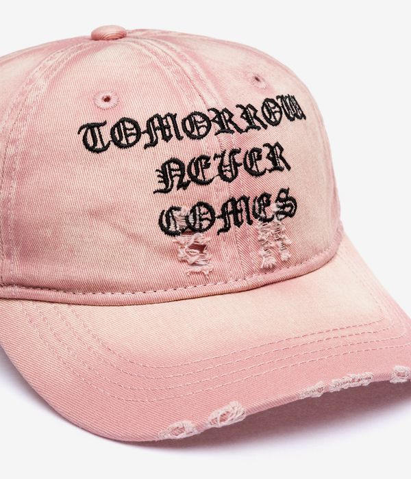 Wasted Paris Destroy Never Comes 6 Panel Cap (faded sour pink)
