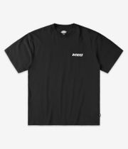Dickies Dry Ridge T-Shirt (black)